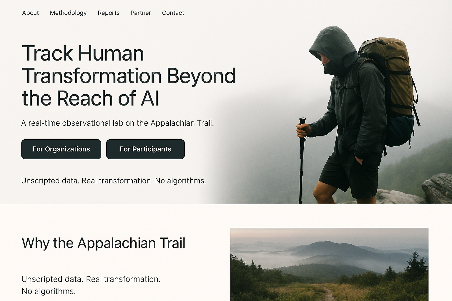 Homepage Visual 1