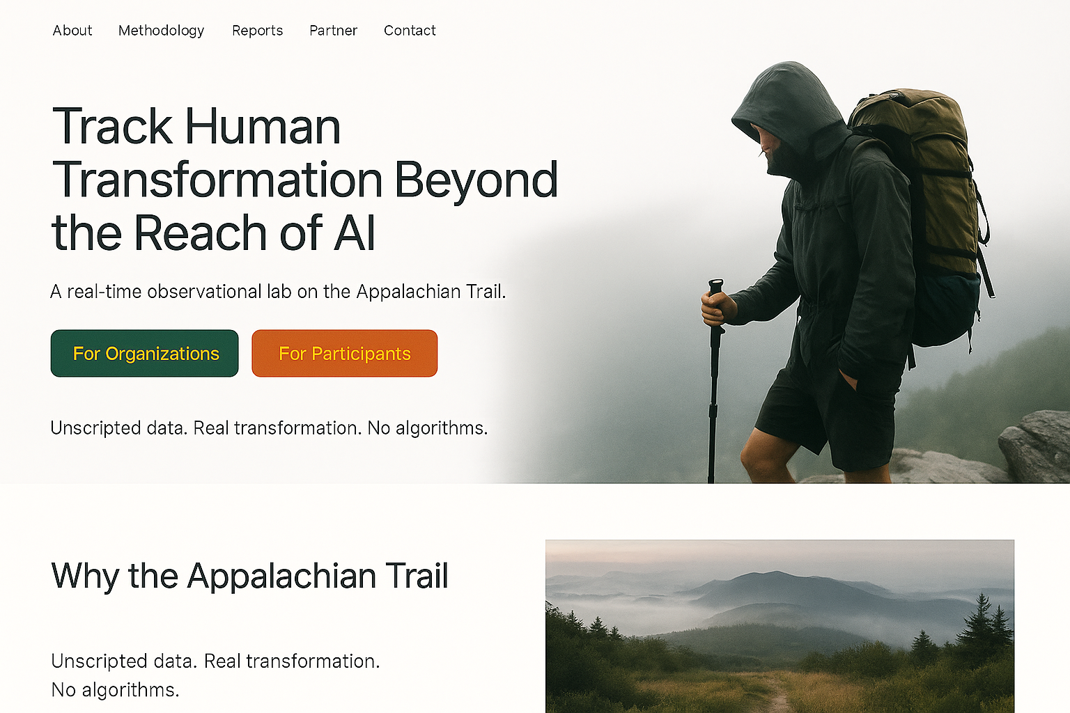 Homepage Visual 2